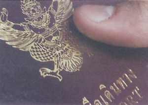 20110324_Passport