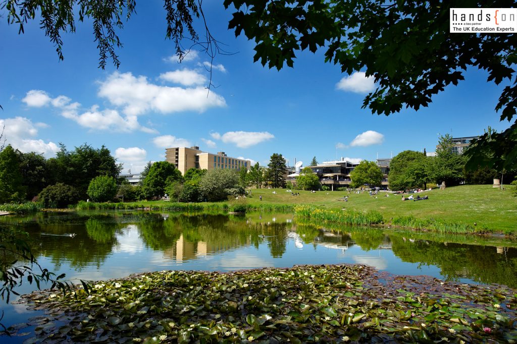 27315 Campus Views and 4 West.Views across the lake. Water lilies and amphitheatre. New 4W West Building Taken across lake with reflections and ducks. Client: Louise Paton - IDPS