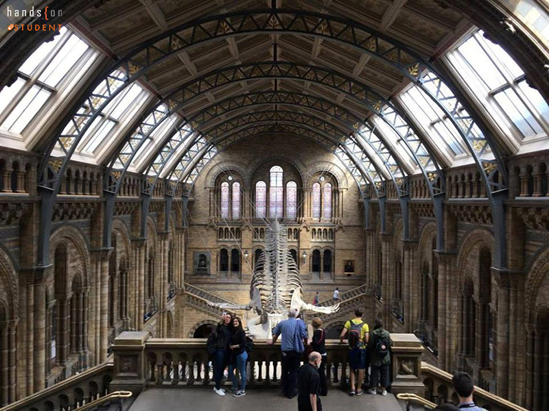 Natural History Museum 