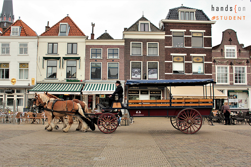 Markt at rotterdam