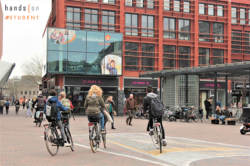 bicycle, rotterdam