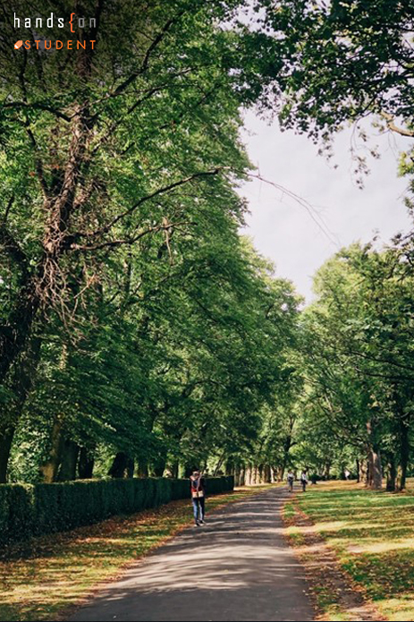 Woodhouse Moor