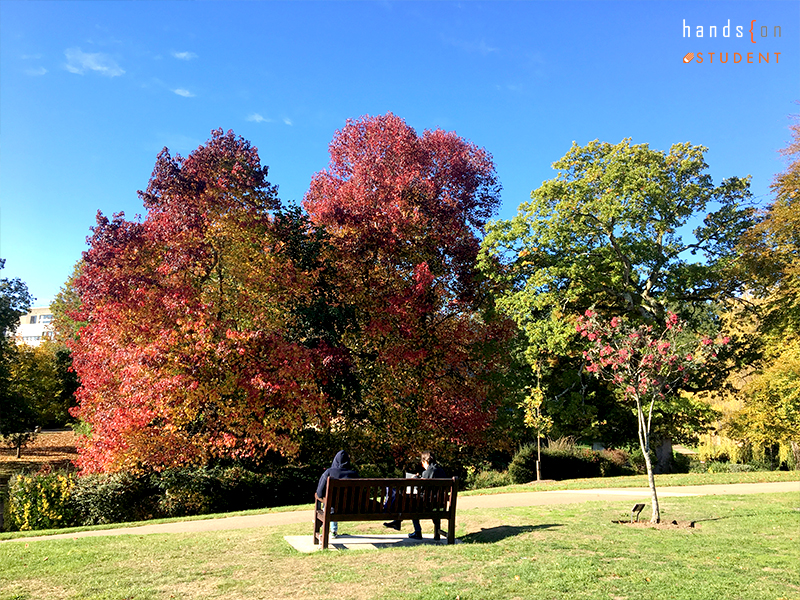 รีวิวการเรียนที่ University of Southampton