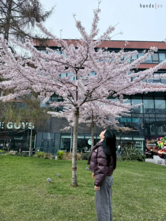 รีวิว University of Manchester