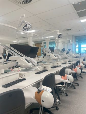 Bachelor of Dental Technology ที่ Griffith University